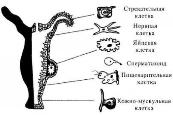 Адрес омг сайта